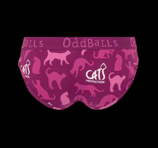 Cats Protection - Ladies Briefs