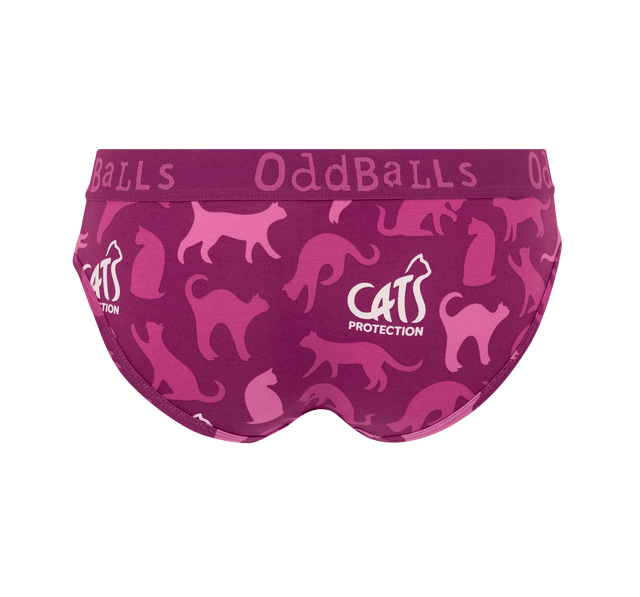 Cats Protection - Ladies Briefs