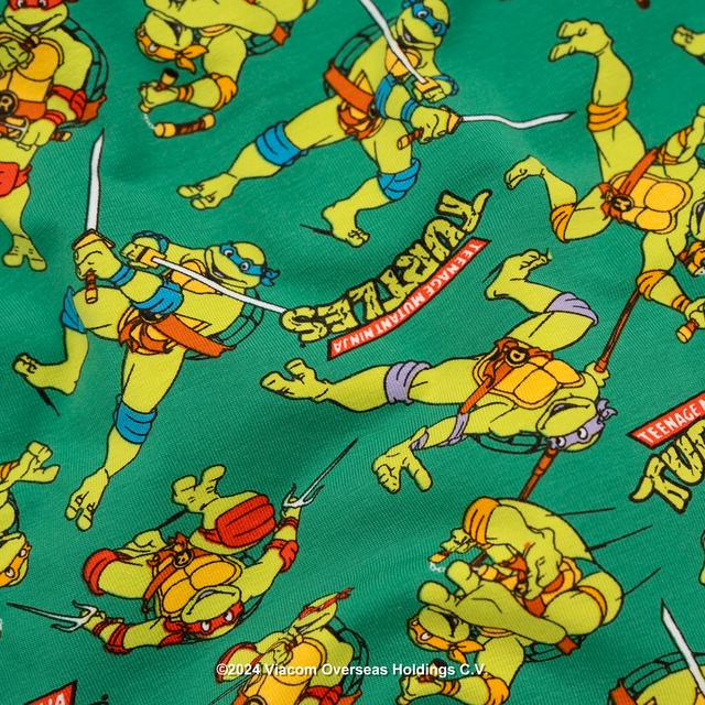 Teenage Mutant Ninja Turtles - Mens Boxer Briefs