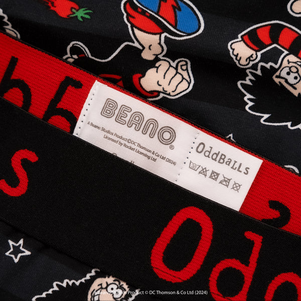 Dennis & Gnasher - Ladies Briefs