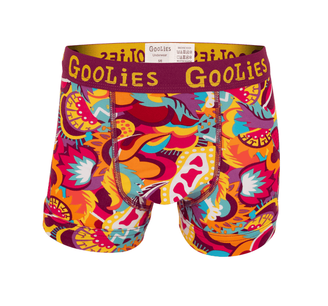 Festival - Kids Boxer Briefs - Goolies