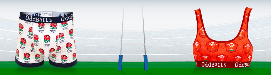 Rugby Banner