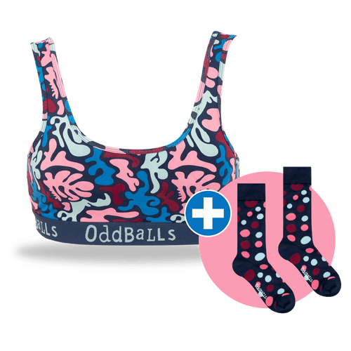 06 Month Pre-Paid: Ladies Bralette & Socks Subscription [G2]