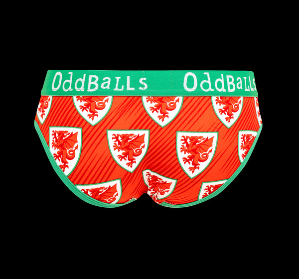 FA Wales - Home - Ladies Briefs