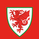 Welsh FA print swap