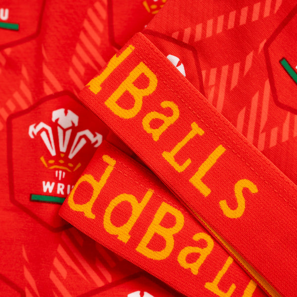 Welsh Rugby Union Flames - Ladies Briefs