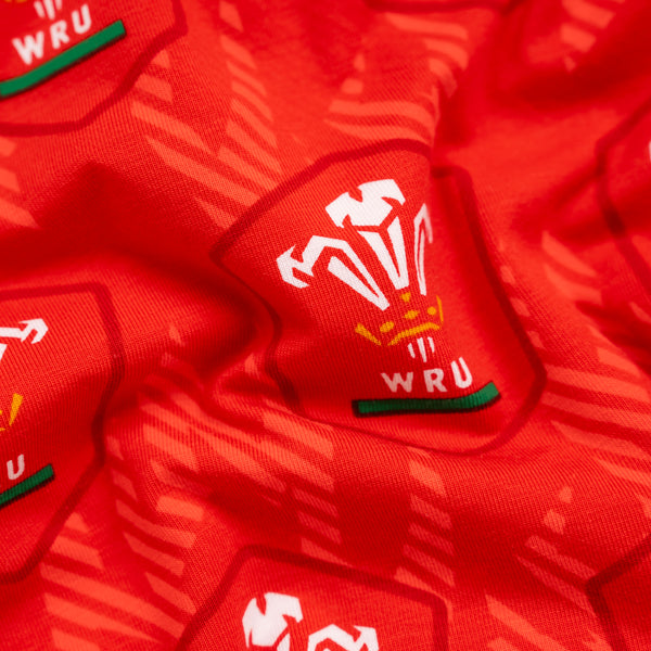 Welsh Rugby Union Flames - Ladies Briefs