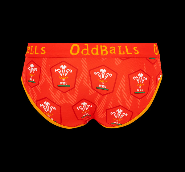 Welsh Rugby Union Flames - Ladies Briefs