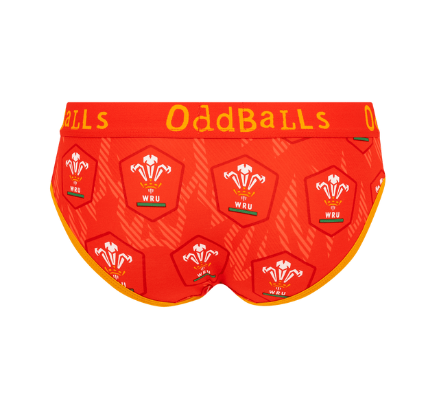 Welsh Rugby Union Flames - Ladies Briefs