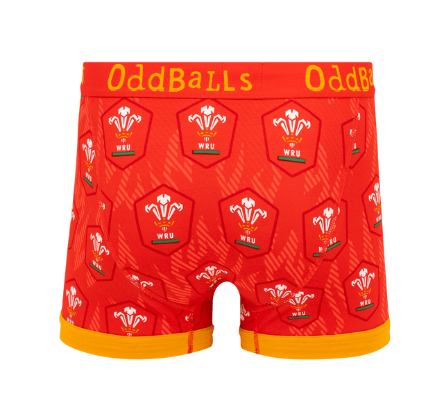 Welsh Rugby Union Flames - Mens Boxer Shorts