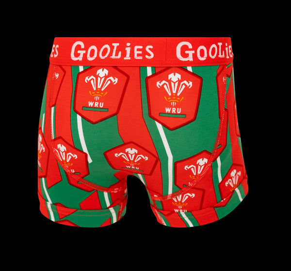 Auswechselspieler des walisischen Rugbyverbands – Boxershorts für Kinder – Goolies