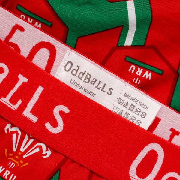 Welsh Rugby Union Alternate - Mens Briefs