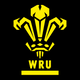 WRU Alternate - 2023 print swap