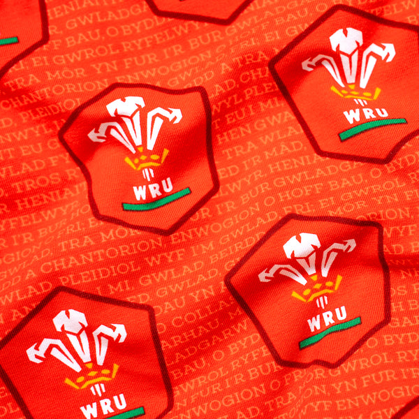 Welsh Rugby Union - Home - Kids Boxer Shorts - Goolies