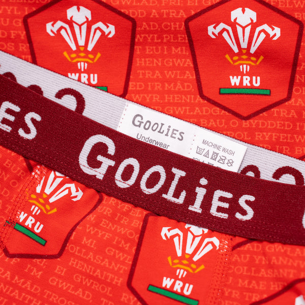 Welsh Rugby Union - Home - Kids Boxer Shorts - Goolies