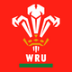 WRU - Home 2023 print swap