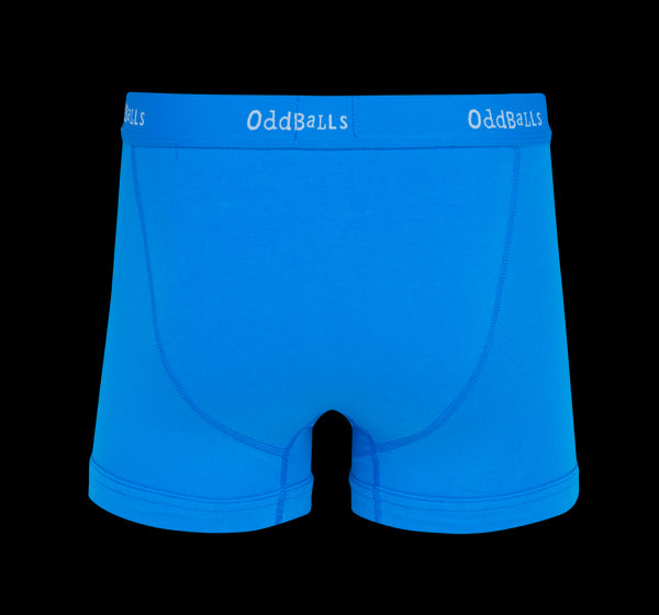 Blueberries - Mens Boxer Shorts