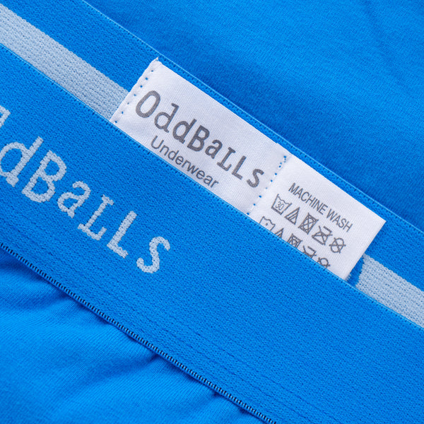 Blueberries - Ladies Briefs