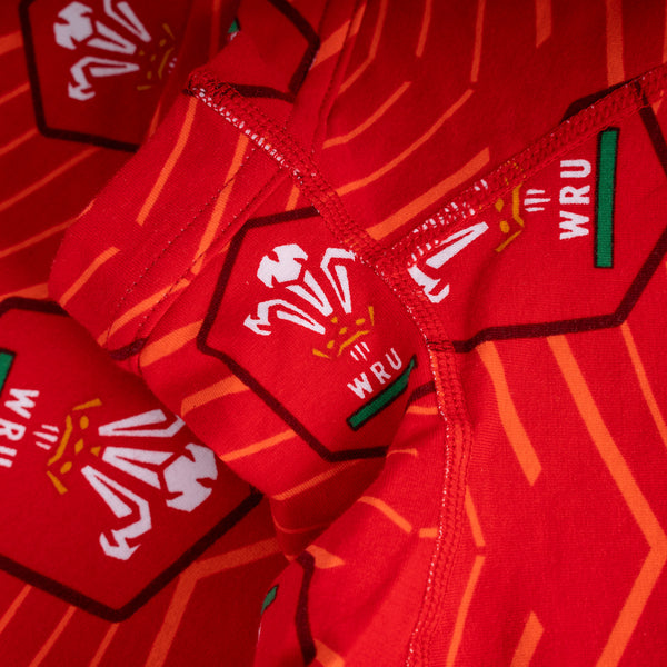 Welsh Rugby Union - Home - Mens Briefs