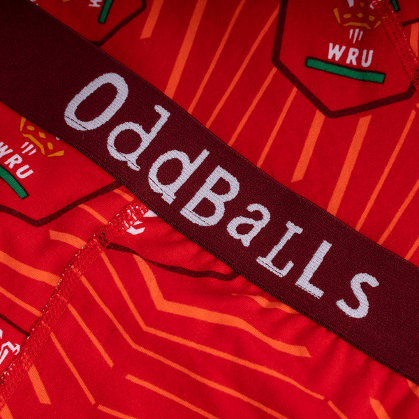 Welsh Rugby Union - Home - Mens Briefs